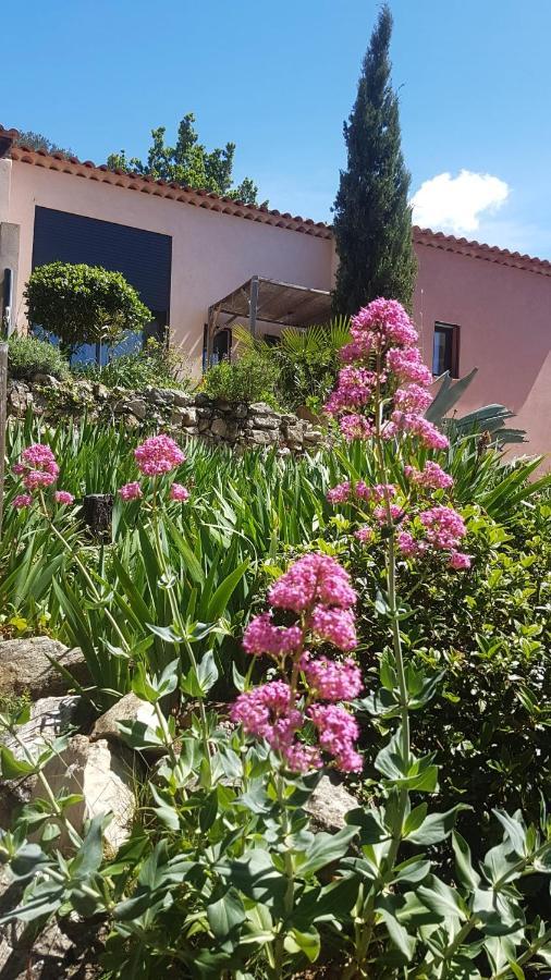 Bastide Cigaline Villa Le Beausset Exteriör bild