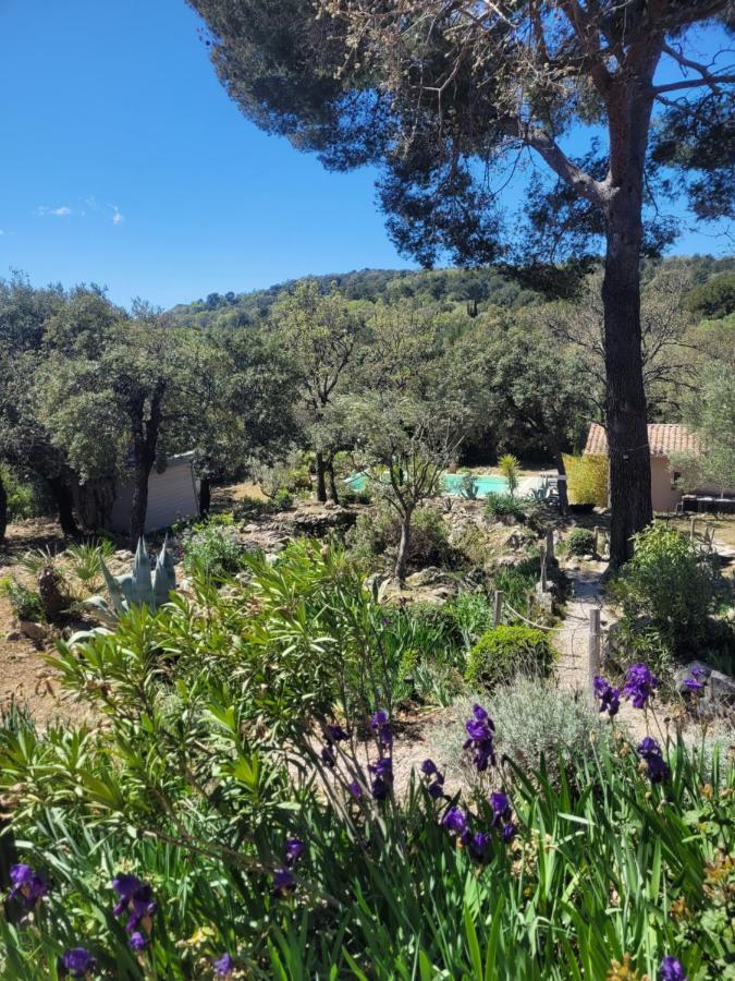 Bastide Cigaline Villa Le Beausset Exteriör bild